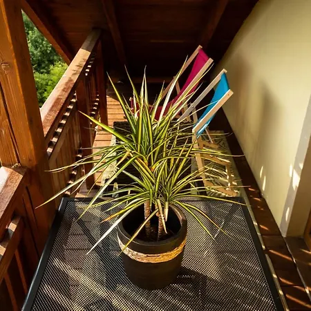 Bed & Breakfast Izabela 3*