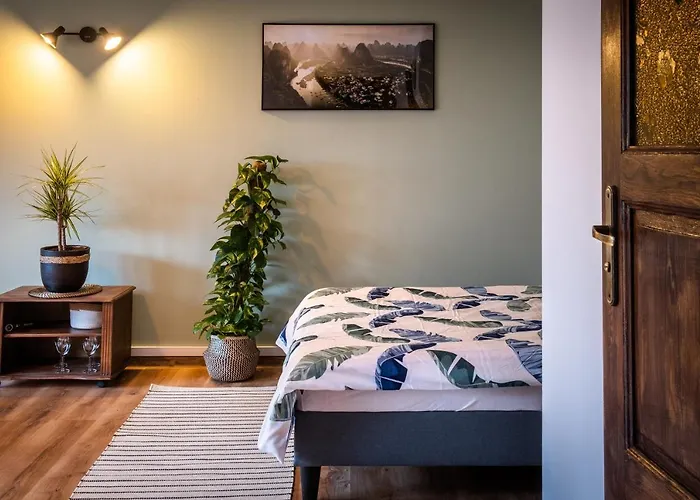 住宿加早餐酒店 Izabela